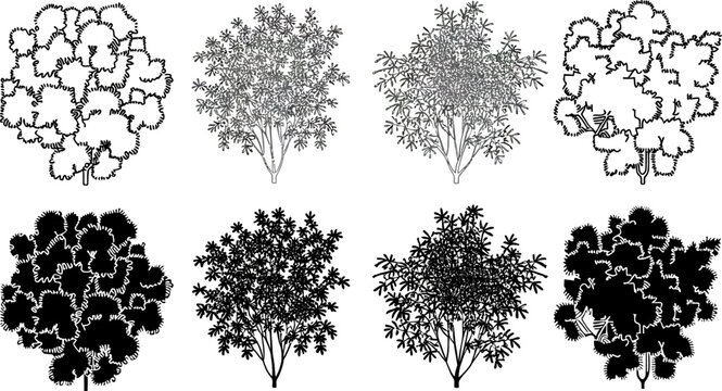Collection of stylized tree outlines and silhouettes for design trees plant