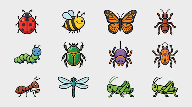 Insect and bug collection