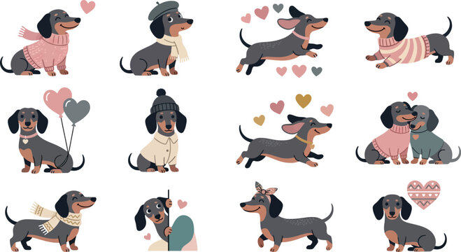 Hand Drawn Cute Dachshund Dog Collection with Love, Playful Poses and Valentine Elements Illustration on White Background