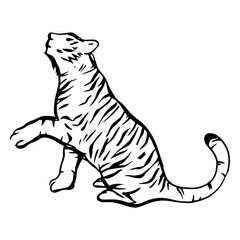 Tiger hand drawn profile © Vexels