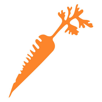 Orange carrot food