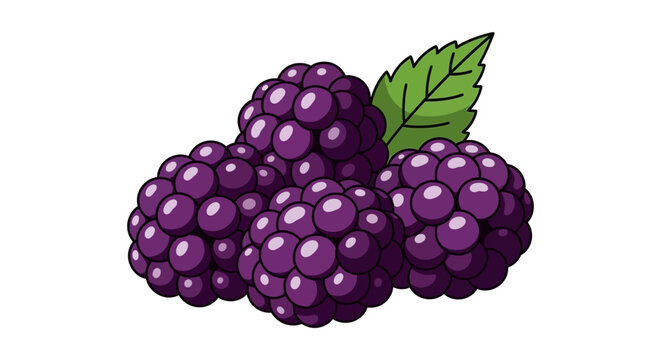 Cluster of blackberries with green leaf flat vector illustration silhouette