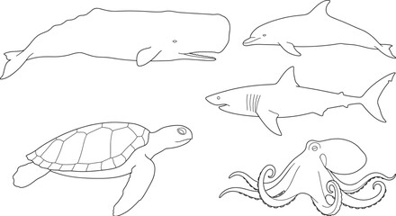 Marine life line art set featuring whale dolphin shark sea turtle and octopus © razia