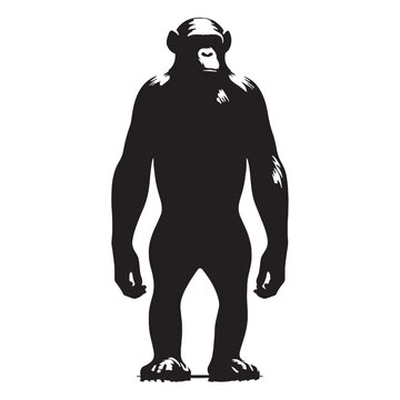 Bonobo, Ape, Primate, Intelligent, Friendly, Social, Curious, Cute, Family, Baby, Wildlife, Nature, Jungle, Rainforest, Forest, Congo, Africa, Wild, Rare, Endangered, Behavior, Learning, Discover.