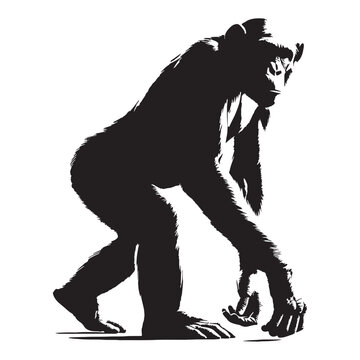 Bonobo, Ape, Primate, Intelligent, Friendly, Social, Curious, Cute, Family, Baby, Wildlife, Nature, Jungle, Rainforest, Forest, Congo, Africa, Wild, Rare, Endangered, Behavior, Learning, Discover.