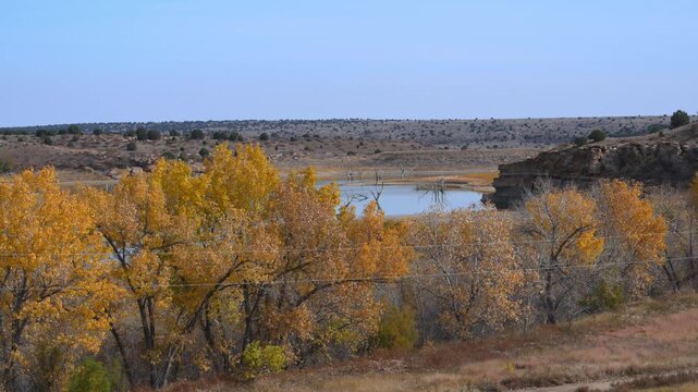 Drying lake with emergent dead tree trunks in the exposed lakebed at Lake Carl Etling, located within Black Mesa State Park, Oklahoma, USA