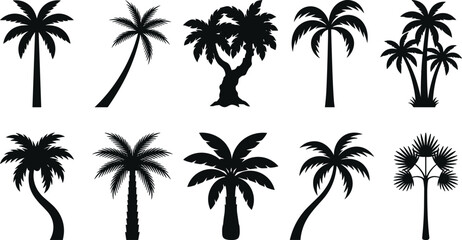 Fototapeta premium Tropical Palm Tree Silhouette Set with Coconut and Date Palm Vector Collection
