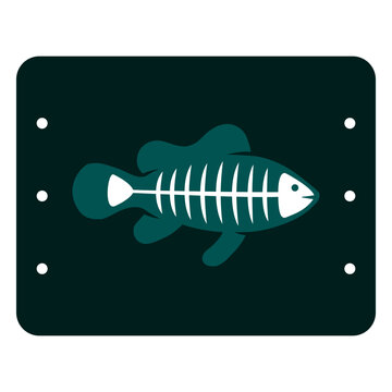 X ray fish