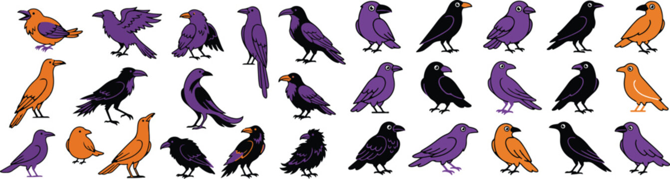 Halloween bird illustrations spooky crows and ravens in orange purple and black