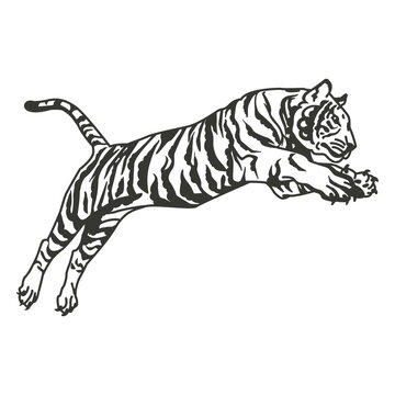 Silhouette of a tiger jumping