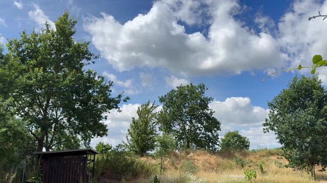 Sommerlandschaft mit trockener Wiese und gro&szlig;en Quellwolken - Sommerliche Landschaft mit trockener Wiese, gr&uuml;nen B&auml;umen und m&auml;chtigen Quellwolken am blauen Himmel. L&auml;ndliche Natur w&auml;hrend einer trocke