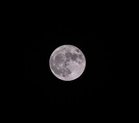 full moon on black background, moon, full moon, lunar, moonlight, night, night sky, astronomy, space, celestial, celestial body, satellite, lunar surface, moon crater, crater, waxing moon, waning moon © MAmir