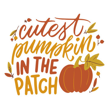Cutest pumpkin in the patch image and quote