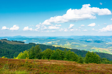 Obraz premium mountainous countryside scenery in the afternoon. view of cloudy sky above the valley. colorful meadows and trees on hill in dappled light. beautiful nature scenery of carpathians. remote outdoors