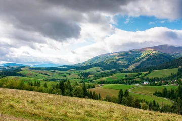 countryside meadow in mountain landscape of ukraine. lush grass fields at the foot of borzhava ridge. beautiful view of transcarpathian scenery in early autumn © Pellinni