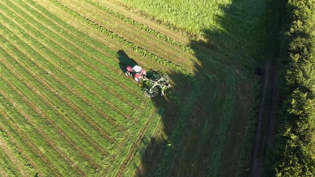 4K Tractor Turning Hay for Drying in Agricultural Field