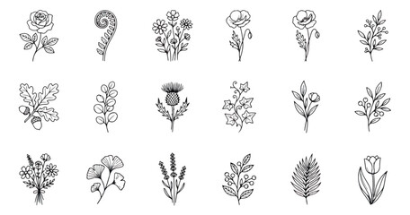 Minimalist botanical line art collection, 18 hand drawn floral vector icons, elegant black wildflower sketches for wedding invitations and branding © Rehman