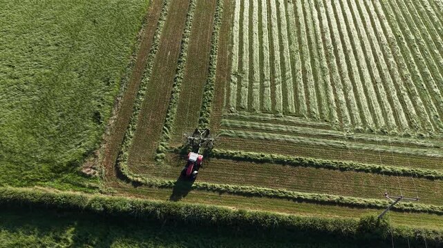 4K Tractor Turning Hay for Drying in Agricultural Field