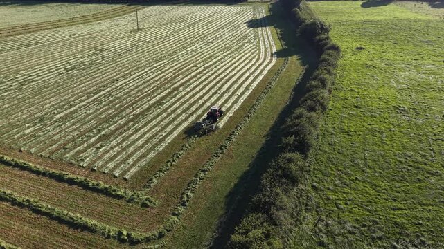 4K Tractor Turning Hay for Drying in Agricultural Field