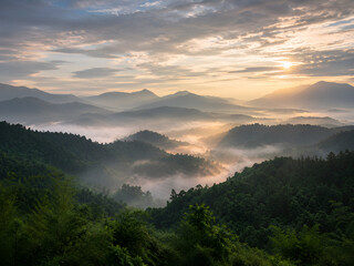Obraz premium Golden sunset over misty mountain valley and forest hills