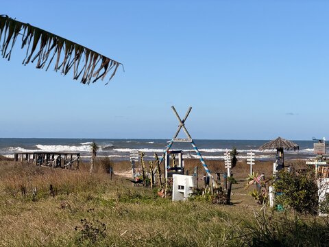 Litoral Brasileiro Paisagens vegeta&ccedil;&atilde;o e detalhes