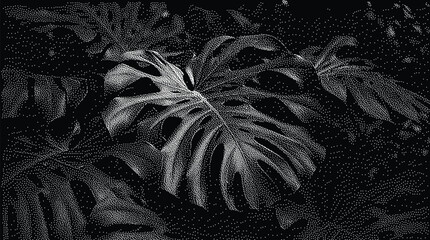 Stippled illustration of a monstera deliciosa leaf in black and white © vectolab