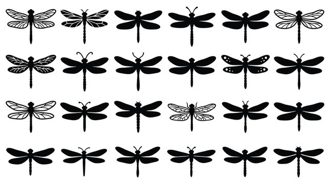 Black dragonfly silhouettes on white background