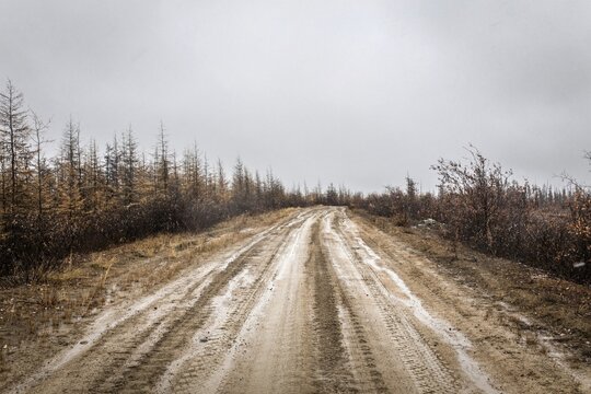 Road, Tundra, Chersky, Yakutia, Russia