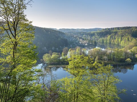 View of the Burgkhammer dam on the river Saale surrounded by green forest in spring, Burgk, Thuringia, Germany