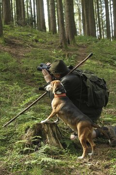 Hunter and hunting dog German Bracke in the forest, Allg&auml;u, Bavaria, Germany