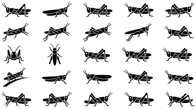 Multiple grasshoppers silhouettes on white background
