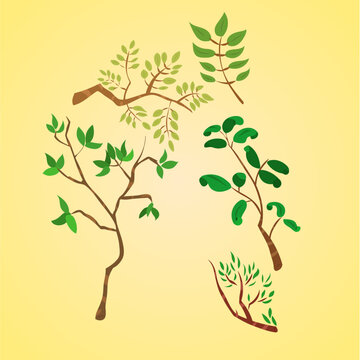 Branches feuilles