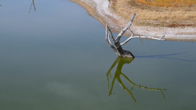  Lake Carl Etling located within Black Mesa State Park in Oklahoma, USA.