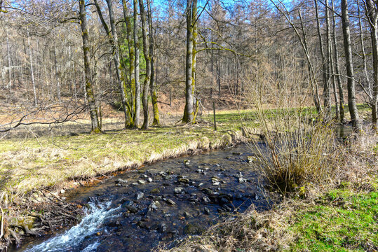 Der Gr&uuml;ndaubach an einer Wiese und bewaldeten H&auml;ngen im Fr&uuml;hling in Gr&uuml;ndau-Breitenborn, Main-Kinzig-Kreis, Hessen