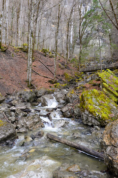 Wasserfall Klaus st&uuml;rzt &uuml;ber eine steile Felswand in ein steiniges Bachbett im Fr&uuml;hling bei Mellau im Bregenzerwald, Vorarlberg, &Ouml;sterreich
