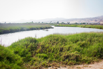 Natural ecosystem at Ventanilla Wetlands in Peru © clehilymar