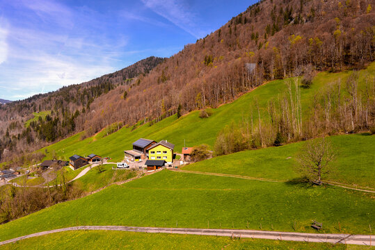 Gr&uuml;ner Berghang bei Bezau in Vorarlberg, &Ouml;sterreich