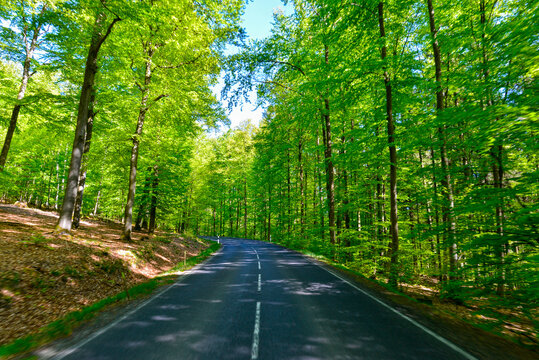 Landstra&szlig;e durch den Buchenwald zwischen Breitenborn und Wittgenborn in Hessen, Deutschland