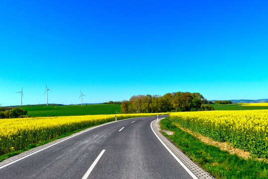 Landstra&szlig;e L3314 vorbei an bl&uuml;henden Rapsfeldern zwischen Wittgenborn und Spielberg in Hessen, Deutschland