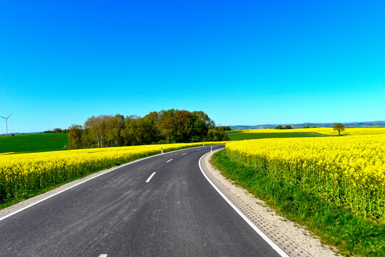 Landstra&szlig;e L3314 vorbei an bl&uuml;henden Rapsfeldern zwischen Wittgenborn und Spielberg in Hessen, Deutschland