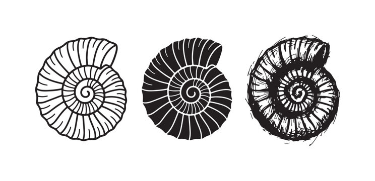 Textured spiral shell or fossilized ammonite icon set