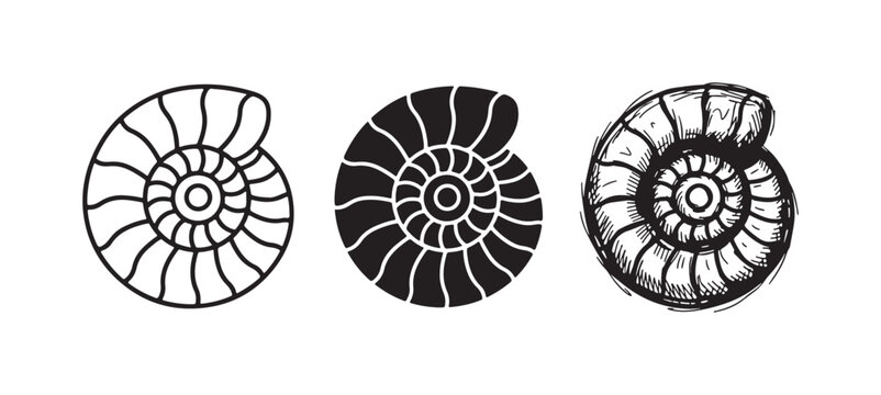 Nautiloid or ammonite spiral shell icon set