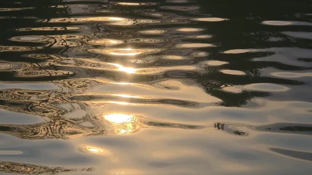 Water reflects sunlight on a calm surface in a natural setting during evening hours