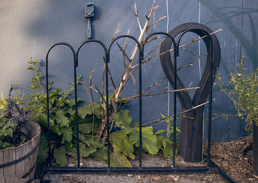 Black wrought iron bike stand near a stucco wall and wild plants