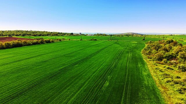 Aerial view of wheat field with bare soil patch. Green crop rows lead toward a distant farmhouse tower flanked by trees and shrubland.