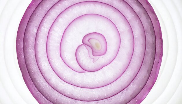 Cross section slice of a red onion.