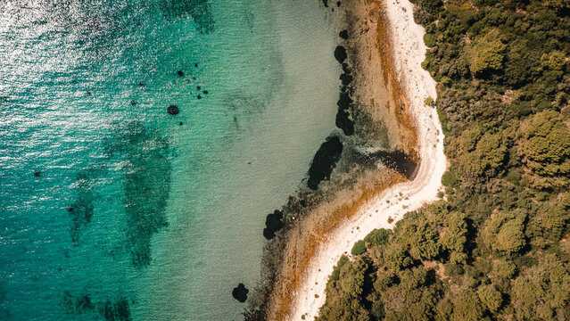 Curved rocky shoreline beside turquoise sea and dense green forest seen from high drone view on sunny coastal day with sparkling water and visible shallow stones near narrow pebble beach