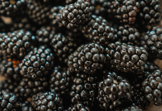 Closeup of fresh blackberries showing glossy drupelets and natural texture