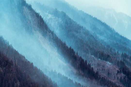 Temp&ecirc;te de neige dans une for&ecirc;t de sapins au c&oelig;ur des Alpes fran&ccedil;aises par temps de brouillard