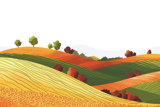Rolling Hills of Wheat Fields in Autumn isolated